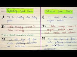 Difference between grazing and detritus food chain | grazing food chain and detritus food chain