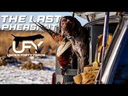 The Last Pheasant