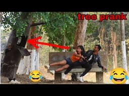 new tree prank video|😂