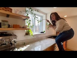 Creating a LIVING PLANT CURTAIN for my Kitchen Window!!
