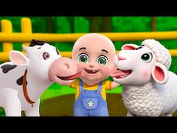 Baa Baa White Sheep Song New Compilation | Lola The Cow Song | Baby Cartoon and Kids Songs Baby Bobo