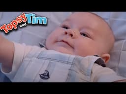 Topsy & Tim - New Baby! | Full Episode Compilation | Shows for Kids | HD