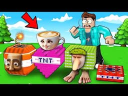 TRYING ITALIAN BRAINROT TNTs TO DESTROY THE WORLD IN ROBLOX !!