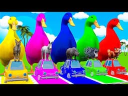 Long Slide Game With Cow Elephant Gorilla Hippopotamus Tiger 3d Animal Game Funny 3d Animals