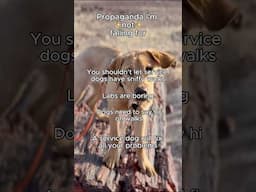 Propaganda I’m ✨not✨falling for