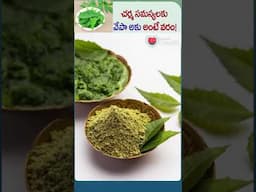 చర్మ సమస్యలకు వేపా అకు అంటే వరం! | #shorts #trending #youtubeshorts #neemleaves #neemoil