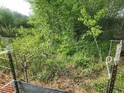 THE FARMHOUSE. Building a new pig pen. Starting the garden. Farmhouse cooking. First time mowing.