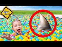 Requin dans la piscine