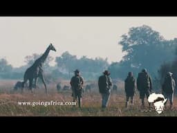 wordpress video