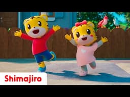 💃🎶 Shimajiro’s Dance Party! 🕺✨ Move, Sing & Play with Shimajiro! 🐯🌟 Fun Dance Songs for Kids 🎉