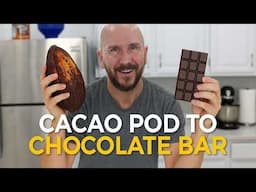 Cacao Pod to Chocolate Bar | How to Make Chocolate from Cocoa Beans