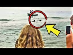 Fishermen Thought They Spotted a Shark, Then They Take a Closer Look