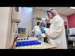 Learn about the Mid-Atlantic Mothers’ Milk Bank with Rick Sebak | Sebak's Stories