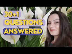 How to Care for a Peace Lily Plant | Q&A Peace Lily