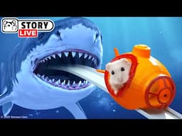 Hamster’s Epic Escape from the Underwater Roller Coaster & Other Mazes! 🐹 Homura Ham