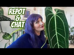 Plant Chores & Chat 🪴 Repot & Relax With Me ☕️