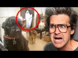 Are These Really Ghosts?