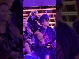 RACCOON 🦝 Brought to EDC as Ring Bearer in wedding! 💍 #edc #funny #edclasvegas #edclv