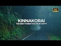 Kinnakorai | Ootty Forest Route | The Last Village In Nilgiri | Vlog#92