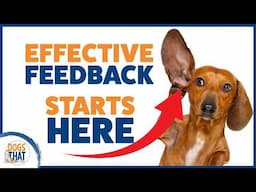 The Best Way To Talk To Your Dog Trainer When Things Aren’t Working