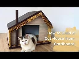 Cardboard Cat House DIY –  Fun, and Affordable!