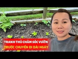 Hai Cây HOA ANH ĐÀO Cuối Cùng Đã Được Giao Tới, Tưới Hoa, Dọn Dẹp, Chuẩn Bị Trước Khi Lên Đường