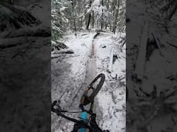 Winter Wonderland #bike #orbea