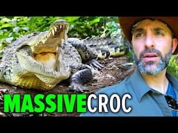 Dangerously Close with Giant Crocs!