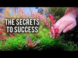 Your Aquarium is Missing THIS (And Nobody Told You)