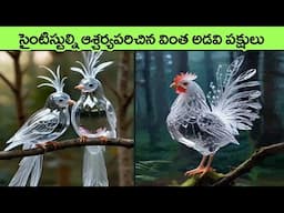 Unusual, Rarest Birds on Earth in telugu | beautiful birds | interesting facts | virinchi facts