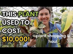This Plant Used To Cost $10,000! Rare Plant Shopping & Plant Haul - Flowerland Grand Rapids Michigan