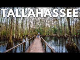 24 Hours in Tallahassee, Florida: What to Do, See & Eat