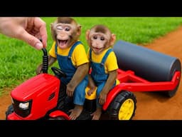 Bim Bim family together resurface their garden with a road roller
