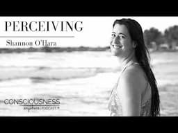 E31 Perceiving | Consciousness Anywhere Podcast: ‪@ShannonOHara‬