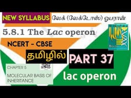 class 12 bio ncert line by line | molecular basis  (part 37)| lac operon concept | லேக் ஓபரான்