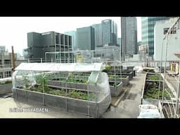 Explore the redevelopment of Nihonbashi Kabuto-cho_Channel JAPAN #04/2025