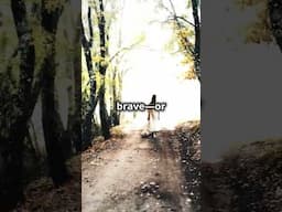 Exploring New York's Scariest Street: Buckout Road