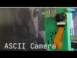 I had only 3 days to build this Raspberry Pi Project (ASCII Video Camera)
