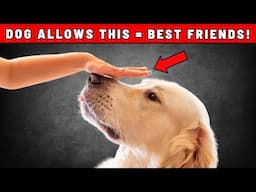 10 Signs Your Dog Thinks You're Their BEST Friend (Not Every Owner!)
