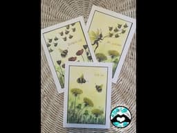 "Bumblehums Stamp a Stack" Video Tutorial