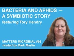 Matters Microbial #95: Bacteria and Aphids — A Symbiotic Story