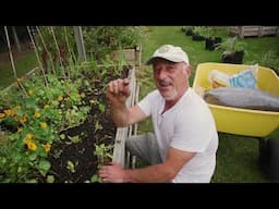 Revamping My Garden