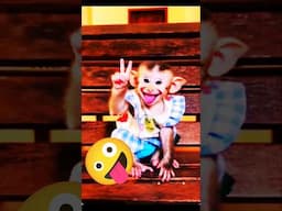 నవ్వితే బాగుంటావు🤣#babymonkey #cute #smile