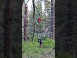 🐻 Bear-Proof Your Food! Step-by-Step Guide to Hanging a Bear Bag