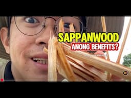 Sappanwood or sibukaw as wood juice with health benefits