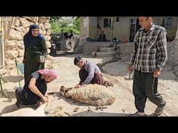 Davoud and Akram's new home, nomadic life, alongside nomadic families