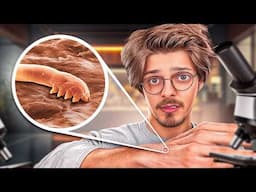On a observé des objets du quotidien au microscope (genre ma main)