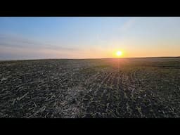 Alittle West Farm Update