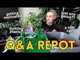 Casual Repot & Chat 🪴 Answering Your Planty & Personal Questions