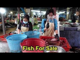Thailand Market Vendors Working Hard Cleaning And Selling Fresh Fish.